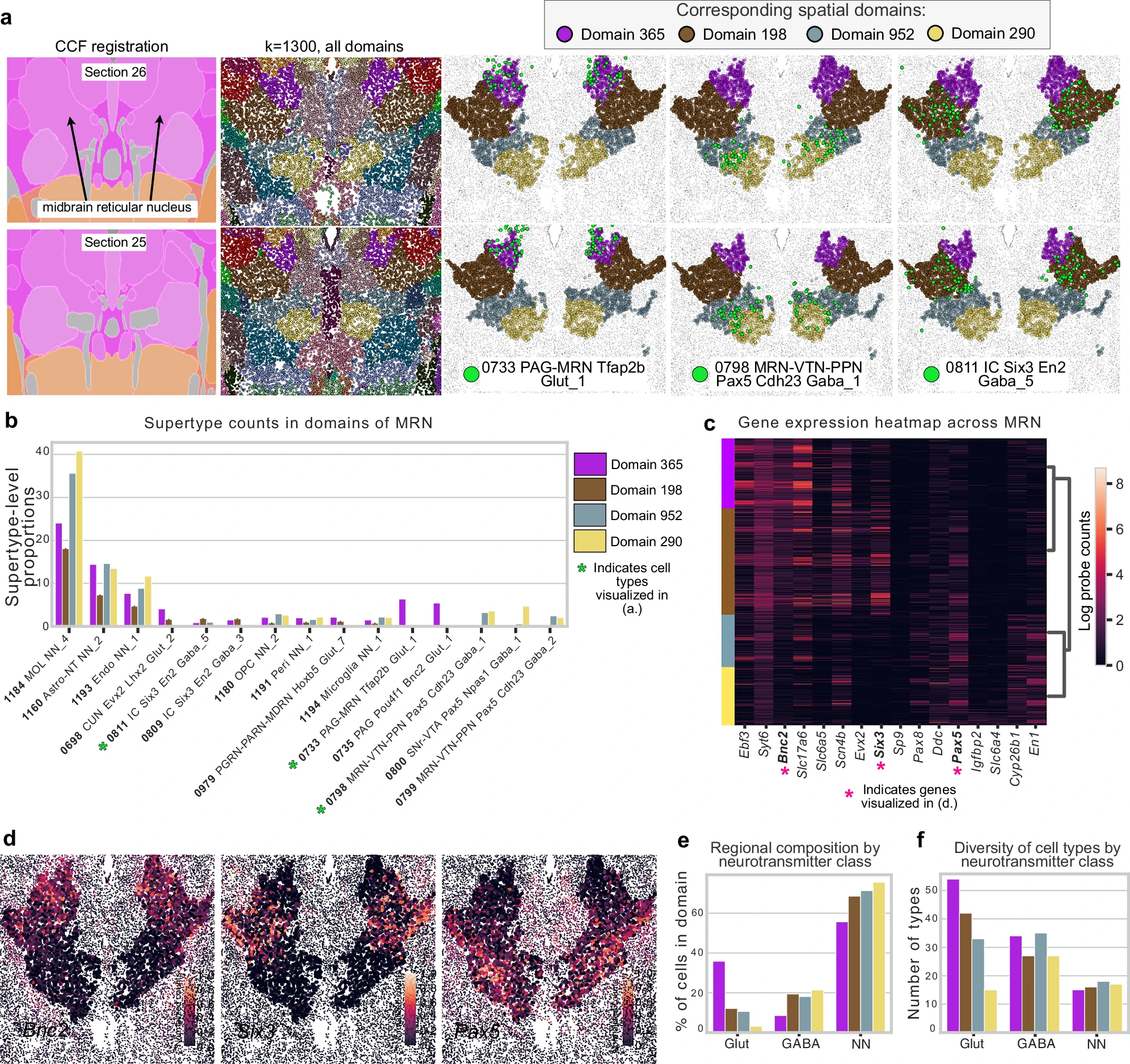 图片[7]-人类画了100年的脑图，AI仅用几小时！还绘制出新脑区-AI Express News