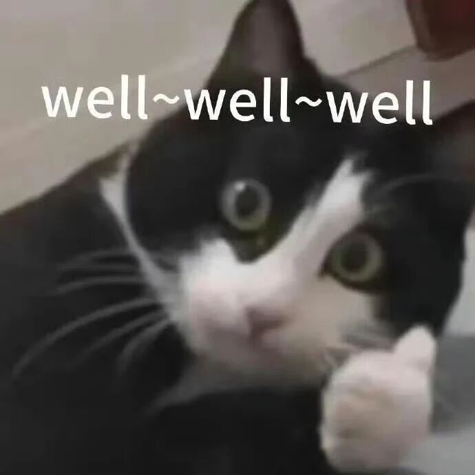 图片[3]-情人节最硬核“Kiss”！中国AI突破300年亲吻数难题，连刷多维度纪录-AI Express News