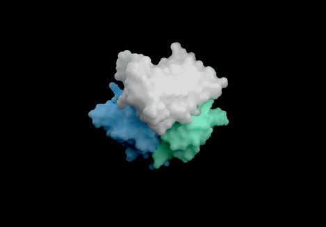 图片[7]-谷歌发布「AlphaFold 4」，不再开源！性能碾压上一代-AI Express News