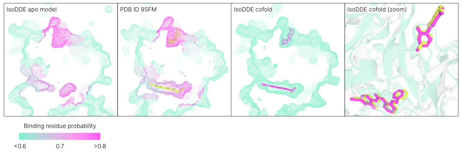 图片[10]-谷歌发布「AlphaFold 4」，不再开源！性能碾压上一代-AI Express News