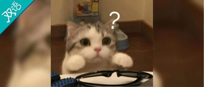 “别把聊天截图发给你朋友好吗”,分享欲的边界到底在哪?-AI Express News