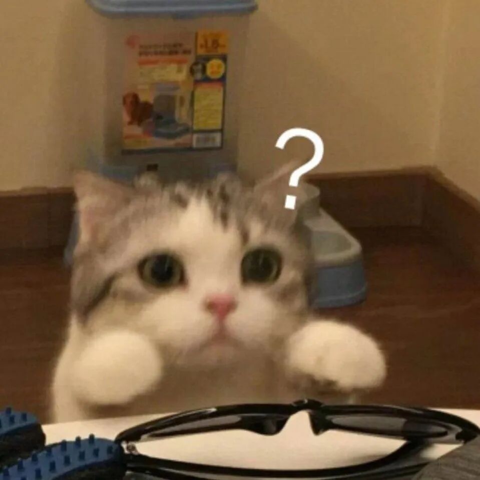 图片[15]-“别把聊天截图发给你朋友好吗”，分享欲的边界到底在哪？-AI Express News