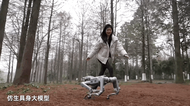 图片[8]-刚刚，宇树发布马年首个重磅机器人新品，小身板扛起200斤大汉-AI Express News