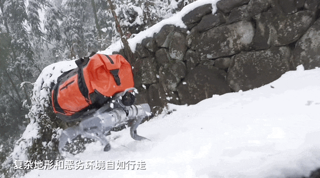 图片[9]-刚刚，宇树发布马年首个重磅机器人新品，小身板扛起200斤大汉-AI Express News