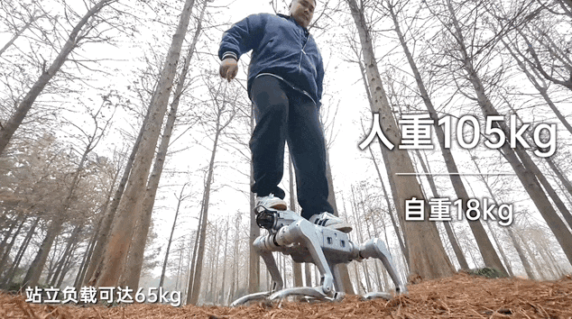 图片[11]-刚刚，宇树发布马年首个重磅机器人新品，小身板扛起200斤大汉-AI Express News