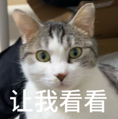 图片[4]-Karpathy：AI编程已质变，就从去年12月开始-AI Express News