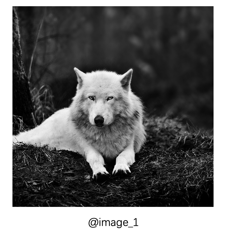 图片[6]-视频大模型黑马SkyReels V4异军突起，冲进Artificial Analysis榜单全球第2名-AI Express News