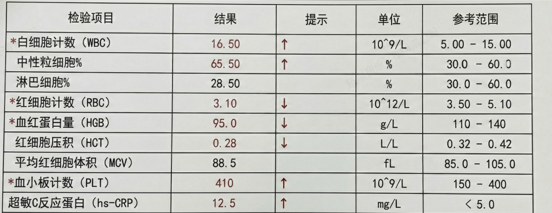 图片[21]-杭州黑马登顶全球第一，引爆千亿医疗市场！14亿人把「三甲医生」塞进微信群-AI Express News