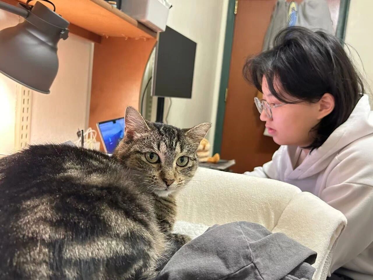 图片[14]-哥大休学创业：不要 Ask ChatGPT，Ask Hyperknow 3.0-AI Express News