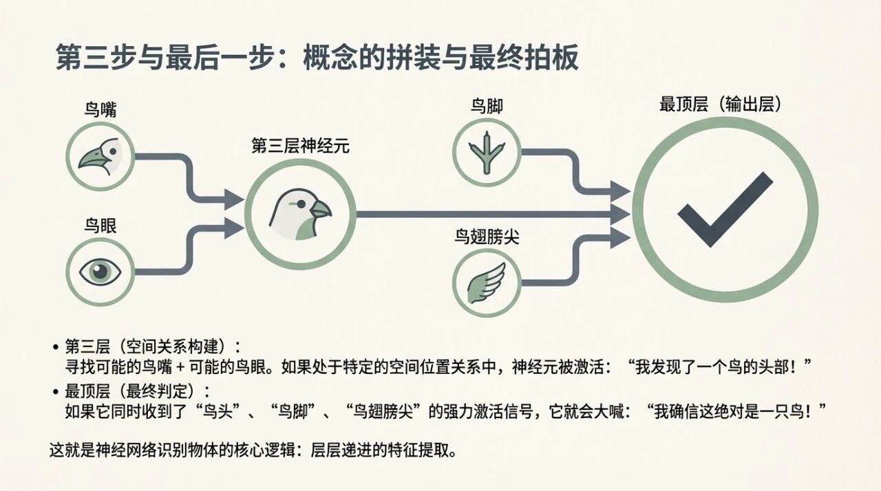 图片[4]-他用一根橡皮筋，讲透了AI的底层逻辑-AI Express News