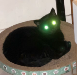 图片[2]-1秒1元！Seedance 2.0模型定价公布，短剧真的要被颠覆了-AI Express News