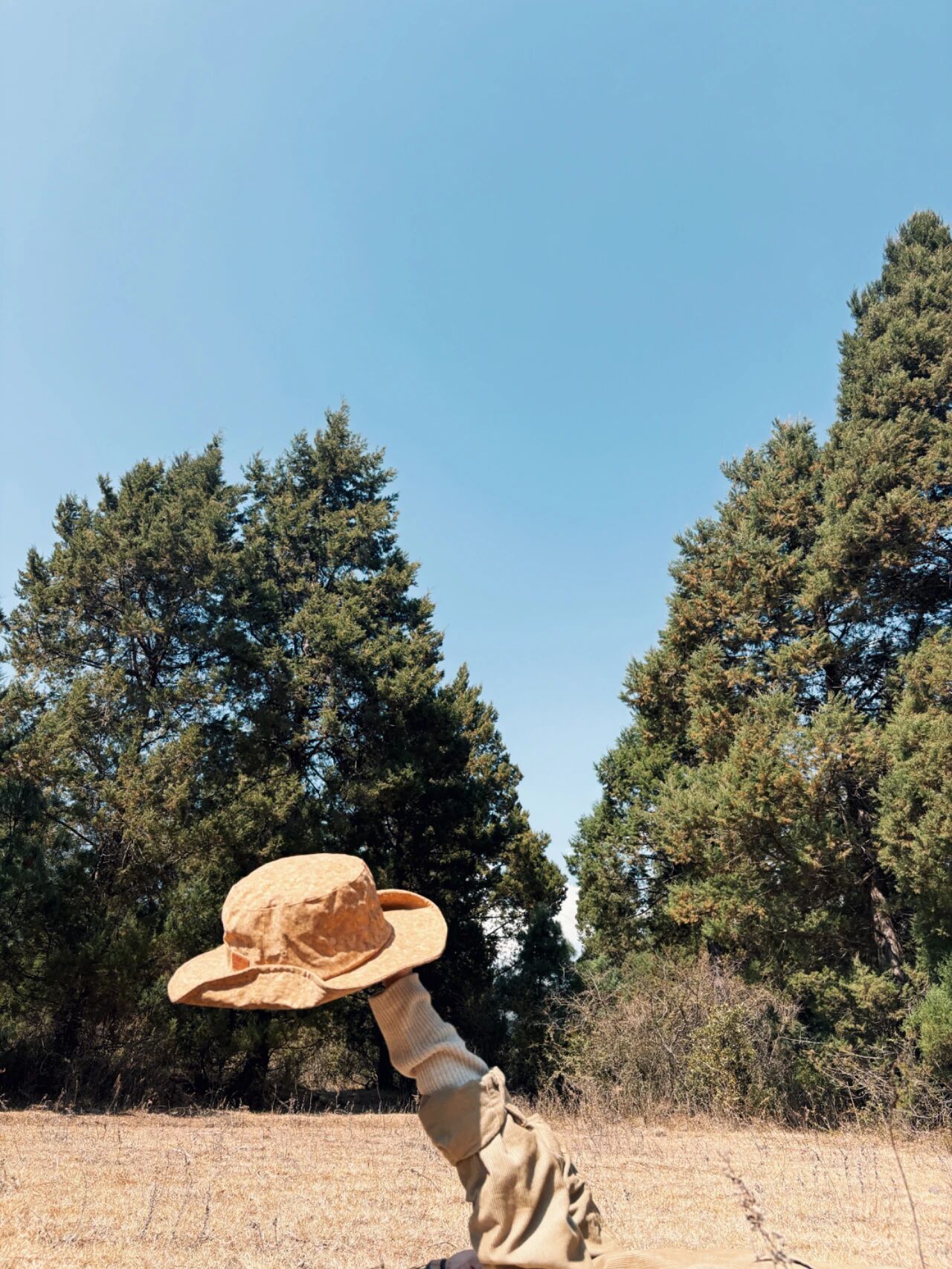 图片[21]-AI时代，内容不值钱了，但「内容创业」会更值钱-AI Express News