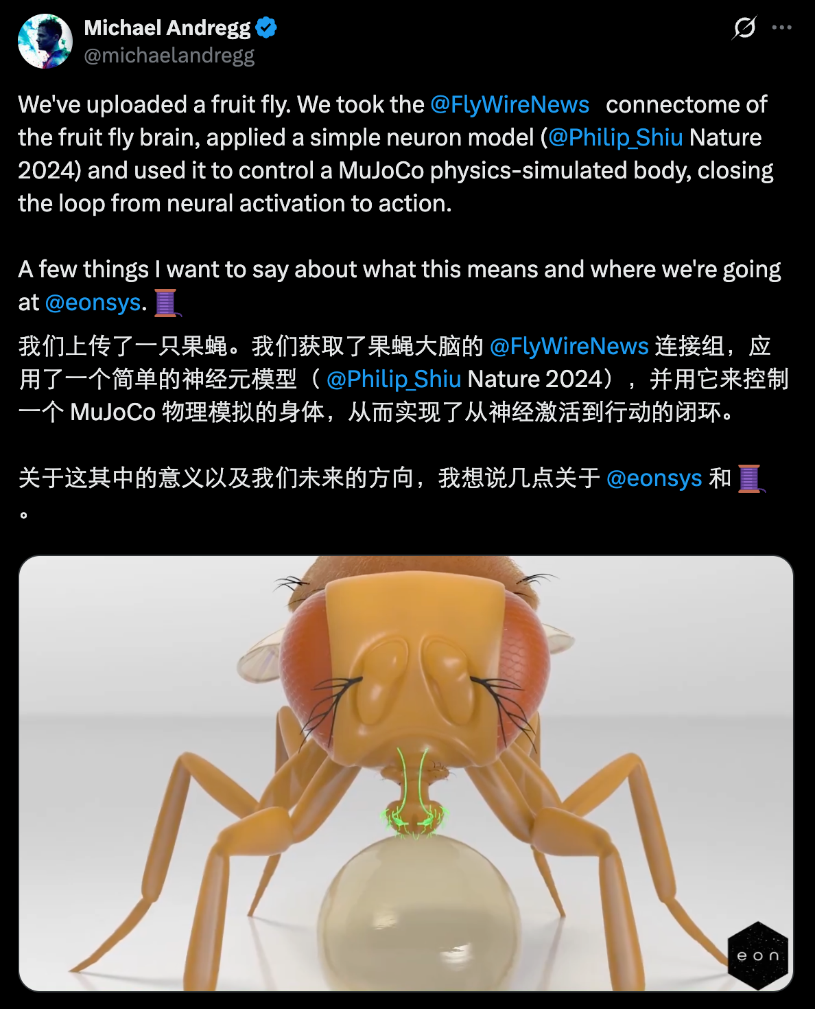 图片[3]-第一次，人类「上传」了一个大脑，并让它在虚拟世界活了起来-AI Express News