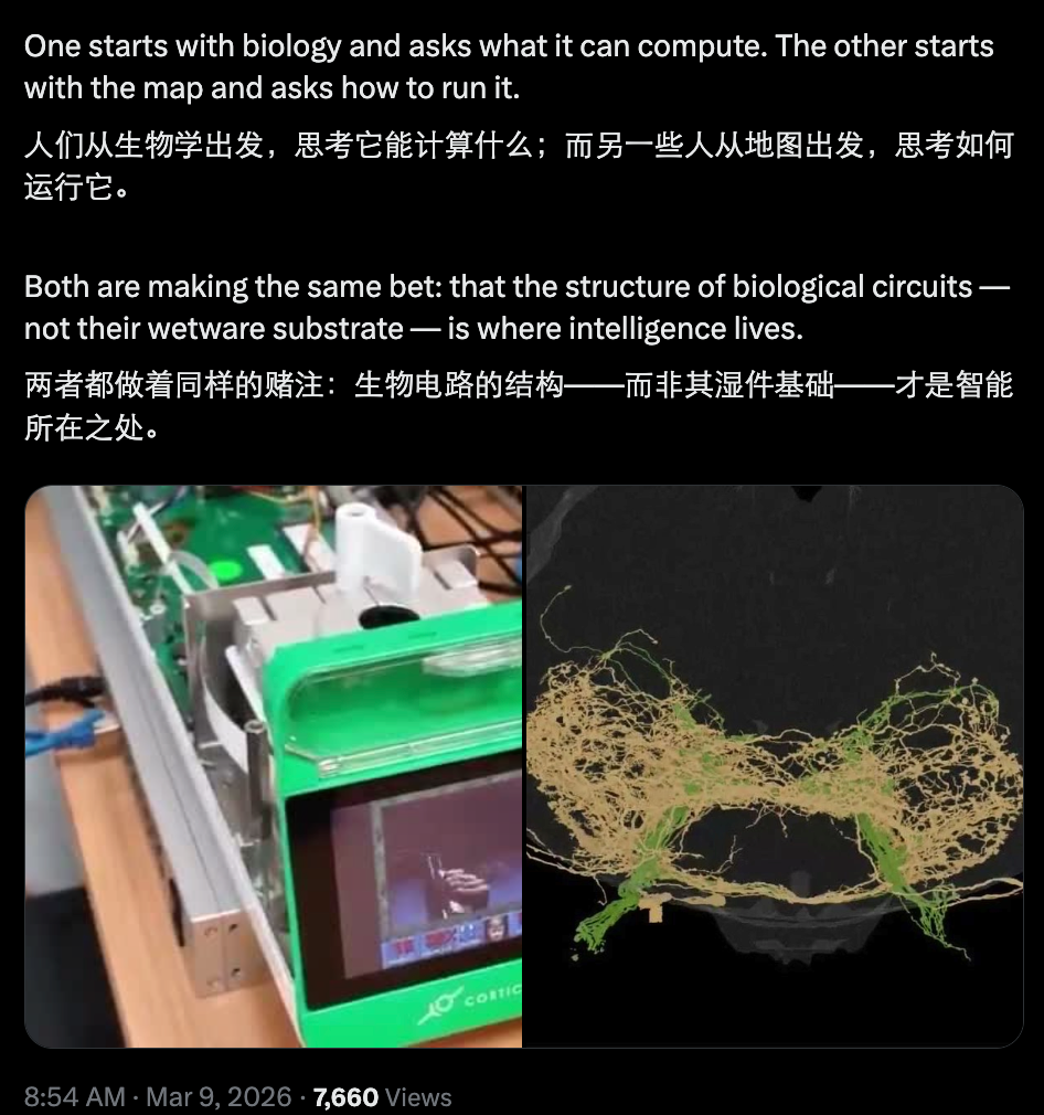 图片[7]-第一次，人类「上传」了一个大脑，并让它在虚拟世界活了起来-AI Express News