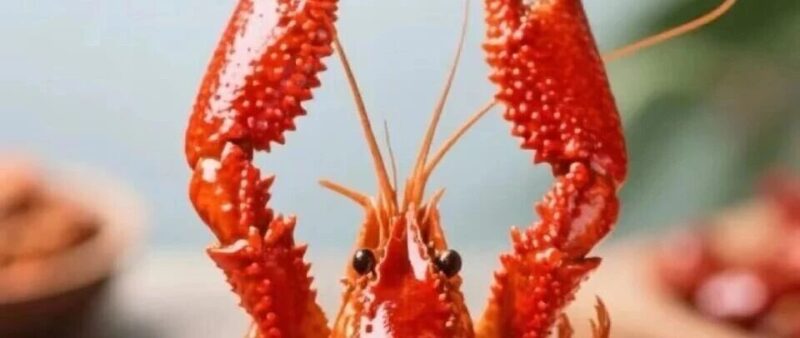 为什么Manus是小火，OpenClaw是大火？-AI Express News