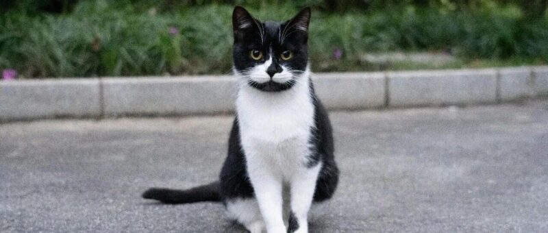 别卷CRUD了！2天教你用OpenClaw搭建 “AI量化外挂”-AI Express News