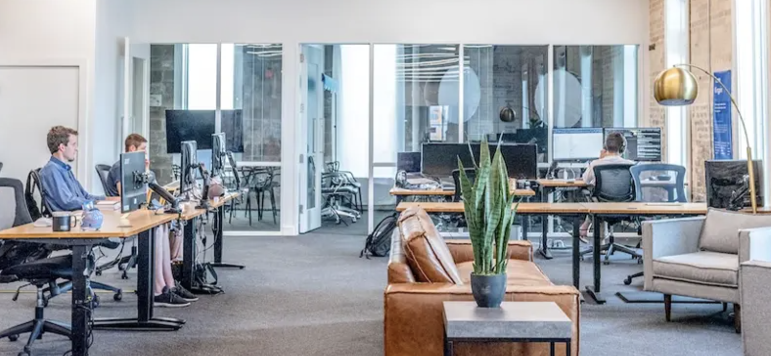 图片[13]-深圳最高1000万补贴、上海住宿全免、苏州100万启动金——全国已开始"抢人"，一人公司的风口来了-AI Express News