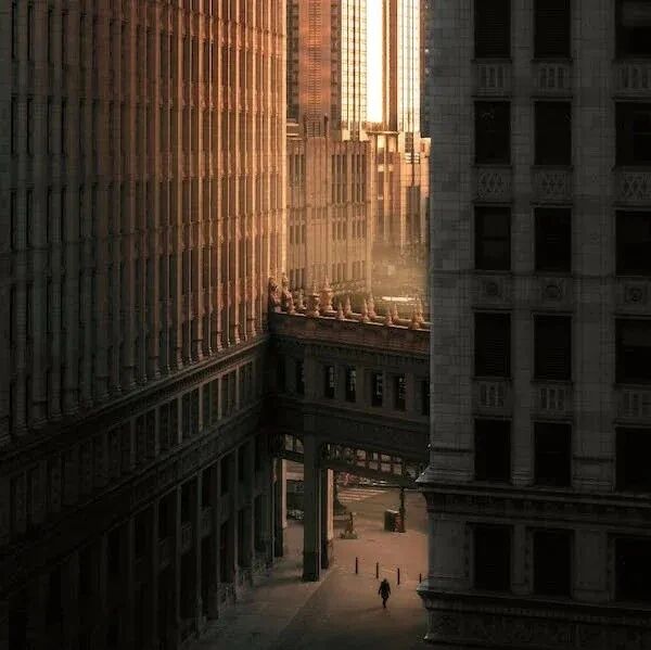 来自 GitHub 的数据表明，AI 工具正在创造“便利循环”，重塑开发者的语言选择-AI Express News