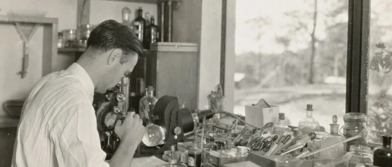 全球顶尖学习科学家：当AI无处不在，为何“死记硬背”反而成了大脑必需品？-AI Express News