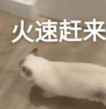 图片[1]-科研人有自己的“吃虾”方式！斯坦福普林斯顿最新开源，仅需一行指令-AI Express News