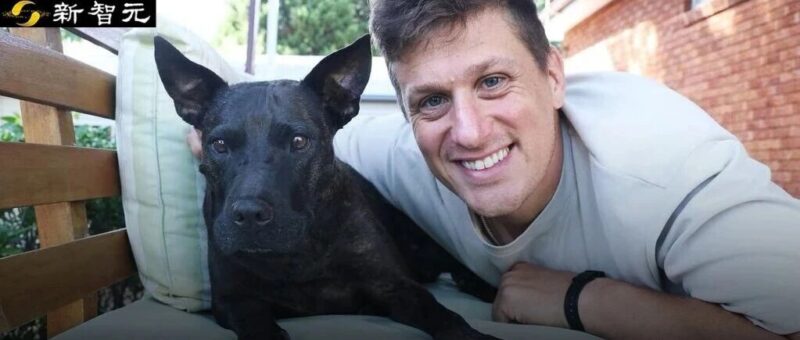 澳洲大神用ChatGPT手搓疫苗抢命，救活癌症晚期爱犬！OpenAI总裁爆赞-AI Express News