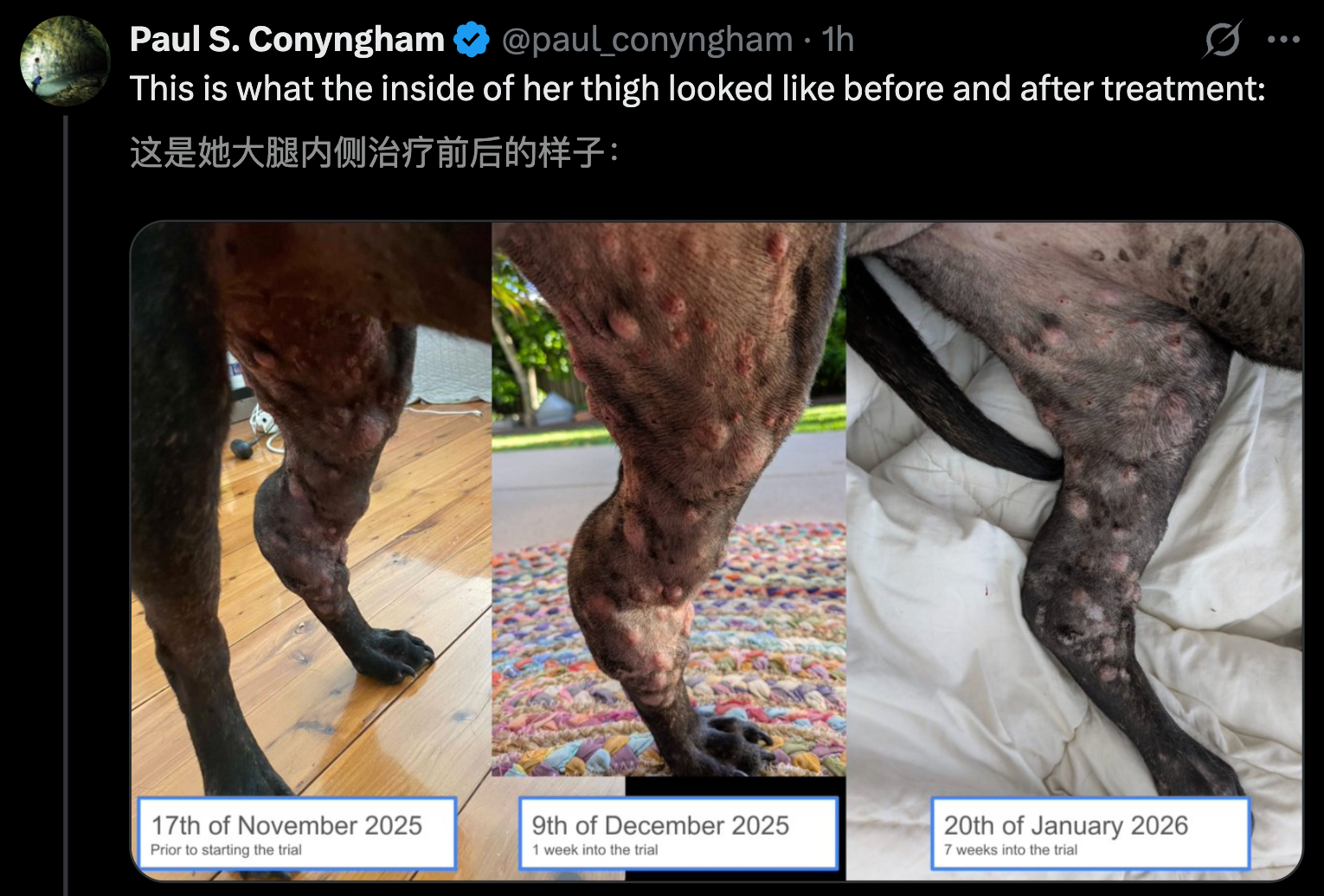 图片[5]-澳洲大神用ChatGPT手搓疫苗抢命，救活癌症晚期爱犬！OpenAI总裁爆赞-AI Express News