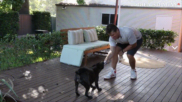 图片[9]-澳洲大神用ChatGPT手搓疫苗抢命，救活癌症晚期爱犬！OpenAI总裁爆赞-AI Express News