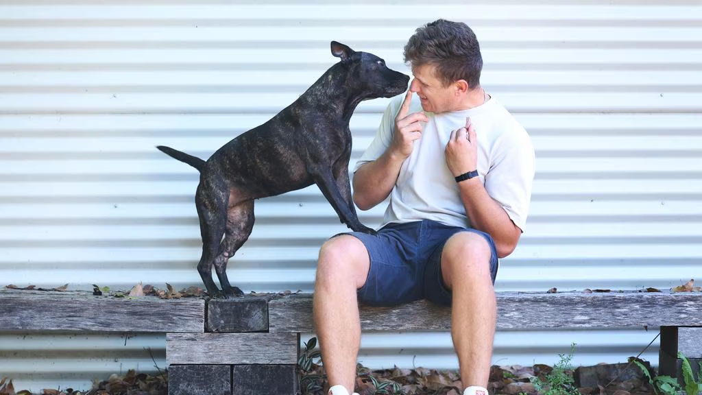 图片[22]-澳洲大神用ChatGPT手搓疫苗抢命，救活癌症晚期爱犬！OpenAI总裁爆赞-AI Express News