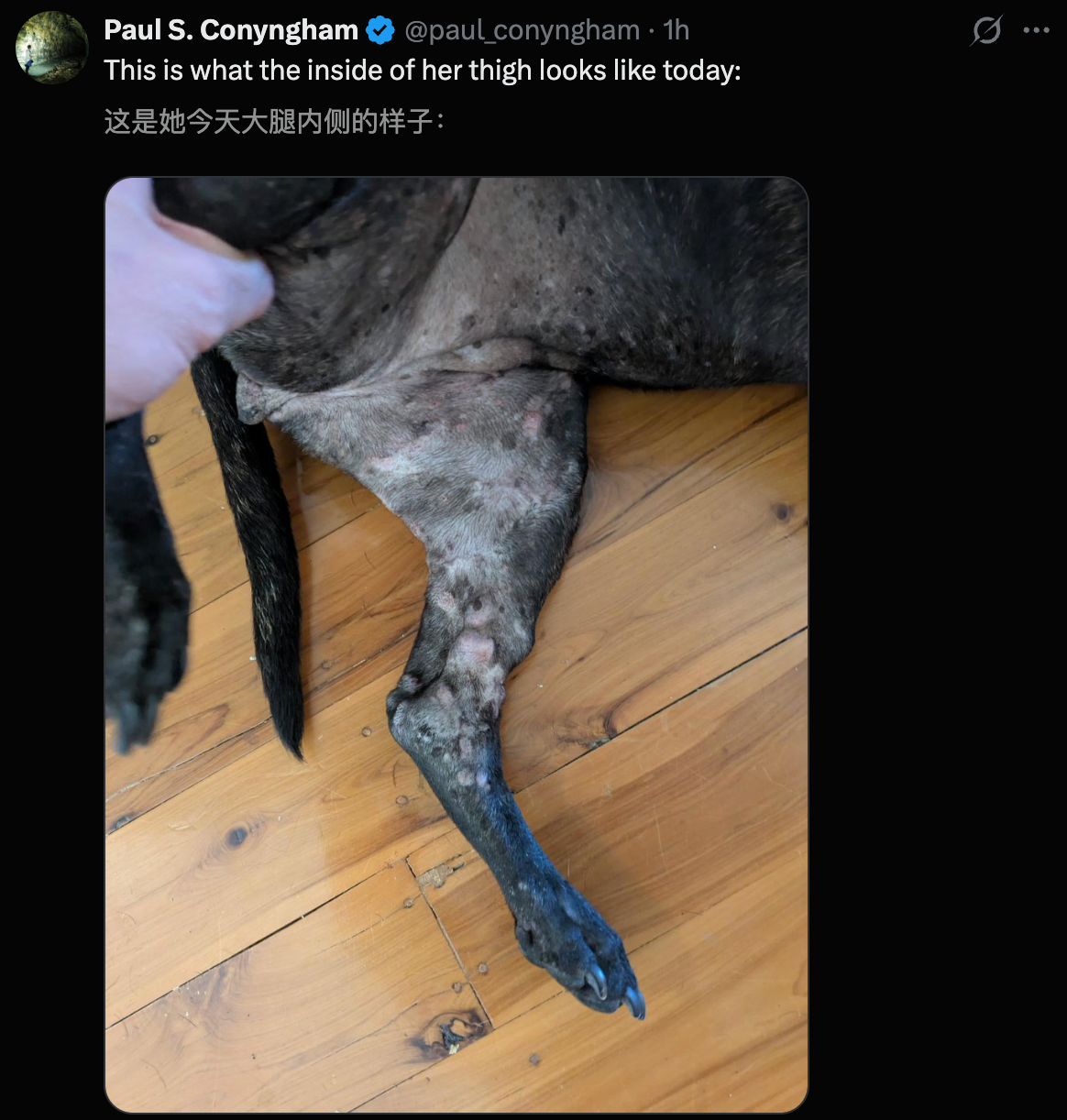 图片[23]-澳洲大神用ChatGPT手搓疫苗抢命，救活癌症晚期爱犬！OpenAI总裁爆赞-AI Express News