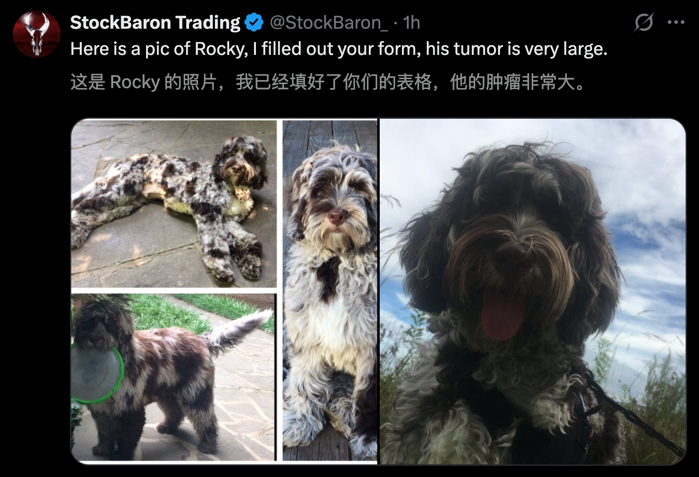 图片[32]-澳洲大神用ChatGPT手搓疫苗抢命，救活癌症晚期爱犬！OpenAI总裁爆赞-AI Express News
