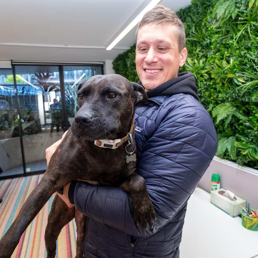 图片[34]-澳洲大神用ChatGPT手搓疫苗抢命，救活癌症晚期爱犬！OpenAI总裁爆赞-AI Express News