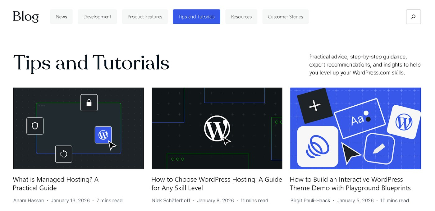 图片[5]-什么是 GEO？WordPress 如何合规做好 GEO 优化？-AI Express News