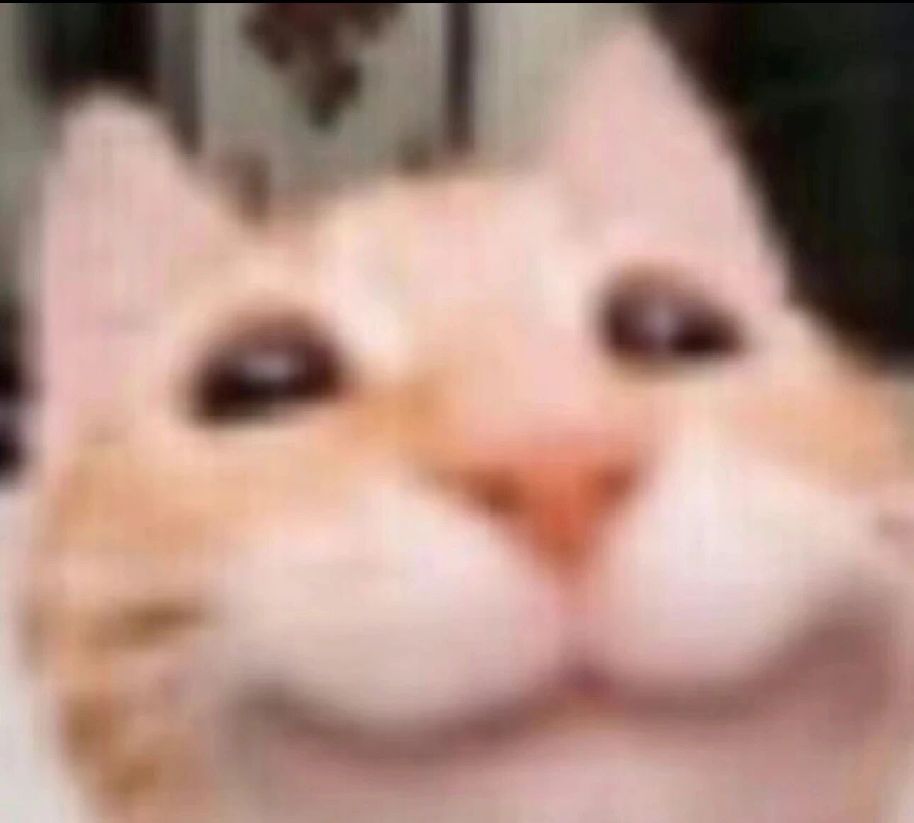 图片[10]-求码10天，我终于过上了在微信上使唤🦞的日子-AI Express News