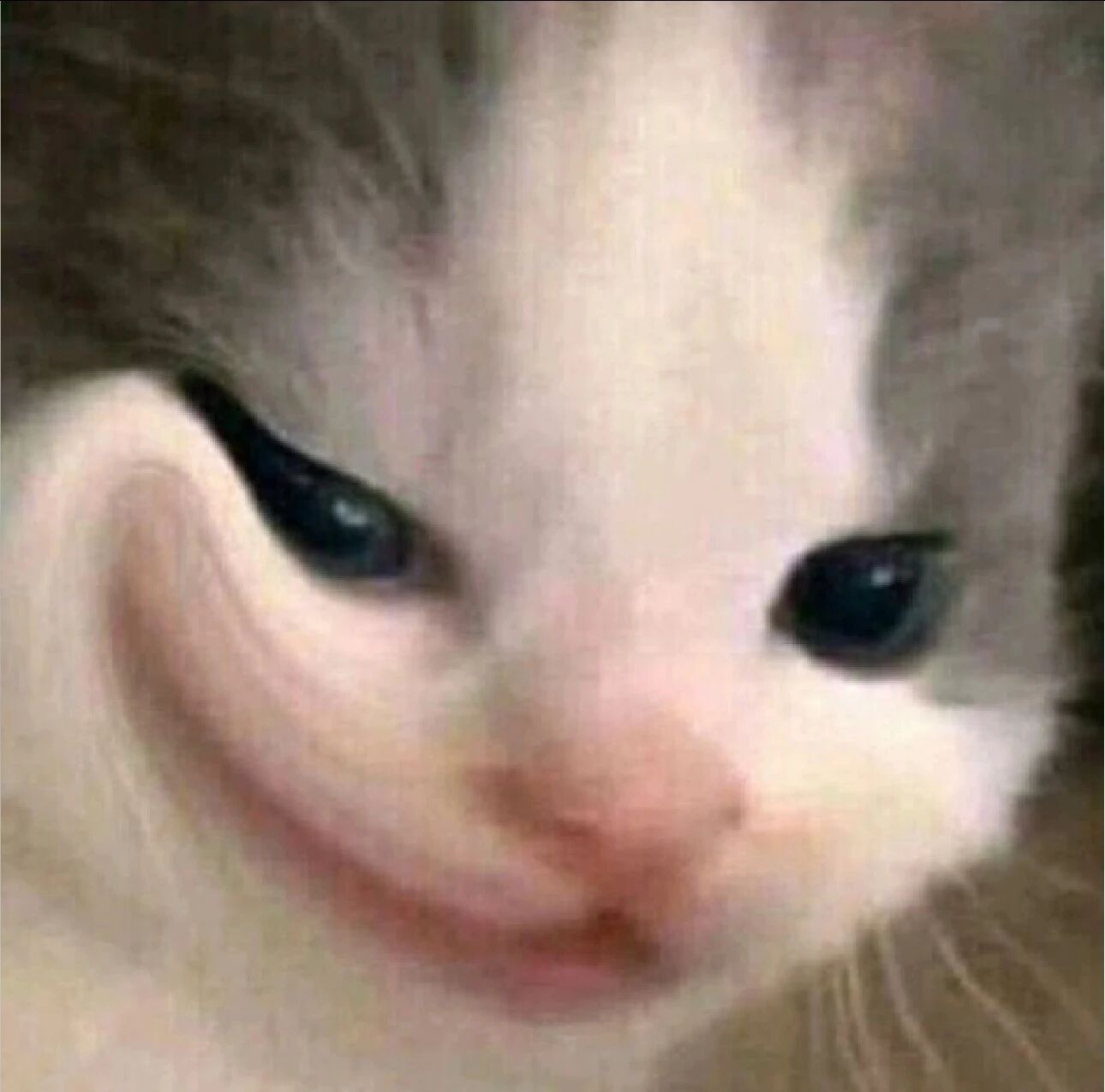 图片[24]-求码10天，我终于过上了在微信上使唤🦞的日子-AI Express News