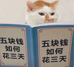 图片[3]-Cursor自研模型反超Opus 4.6！价格脚踝斩，氛围编程沸腾了-AI Express News