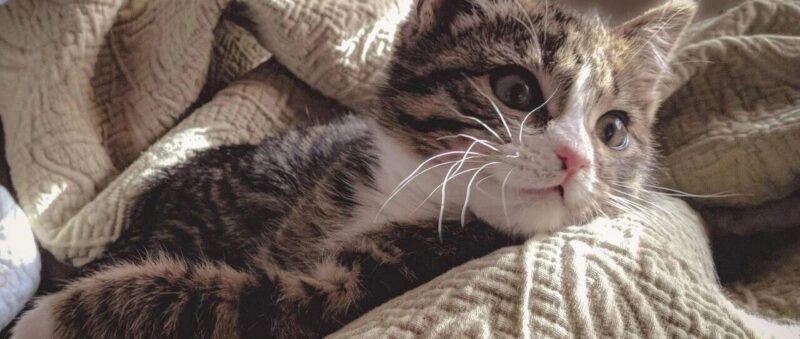 这波 AI 红利,已经开始分层了-AI Express News