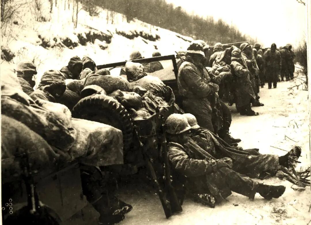 图片[5]-但凡是真想干，还没有办不成的-AI Express News