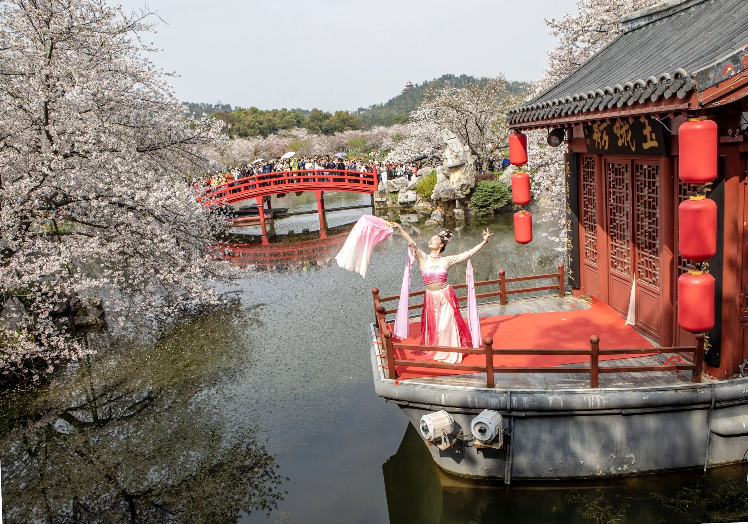 6cb09222b66d6e9804a1cf3fd65b456c