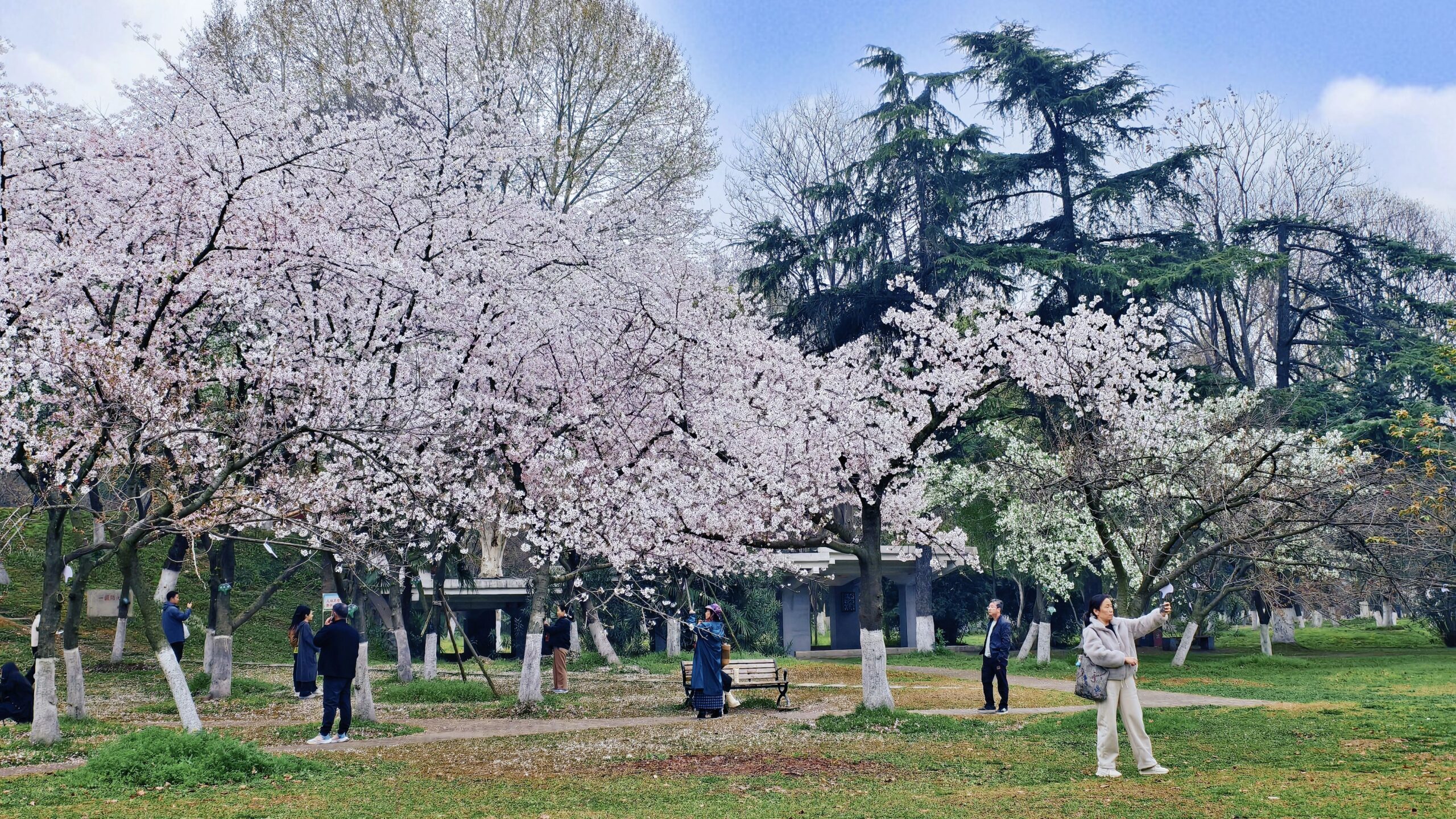 图片[5]-大二就抓住了风口！武汉一大学生让年轻人爱上喝茶-AI Express News