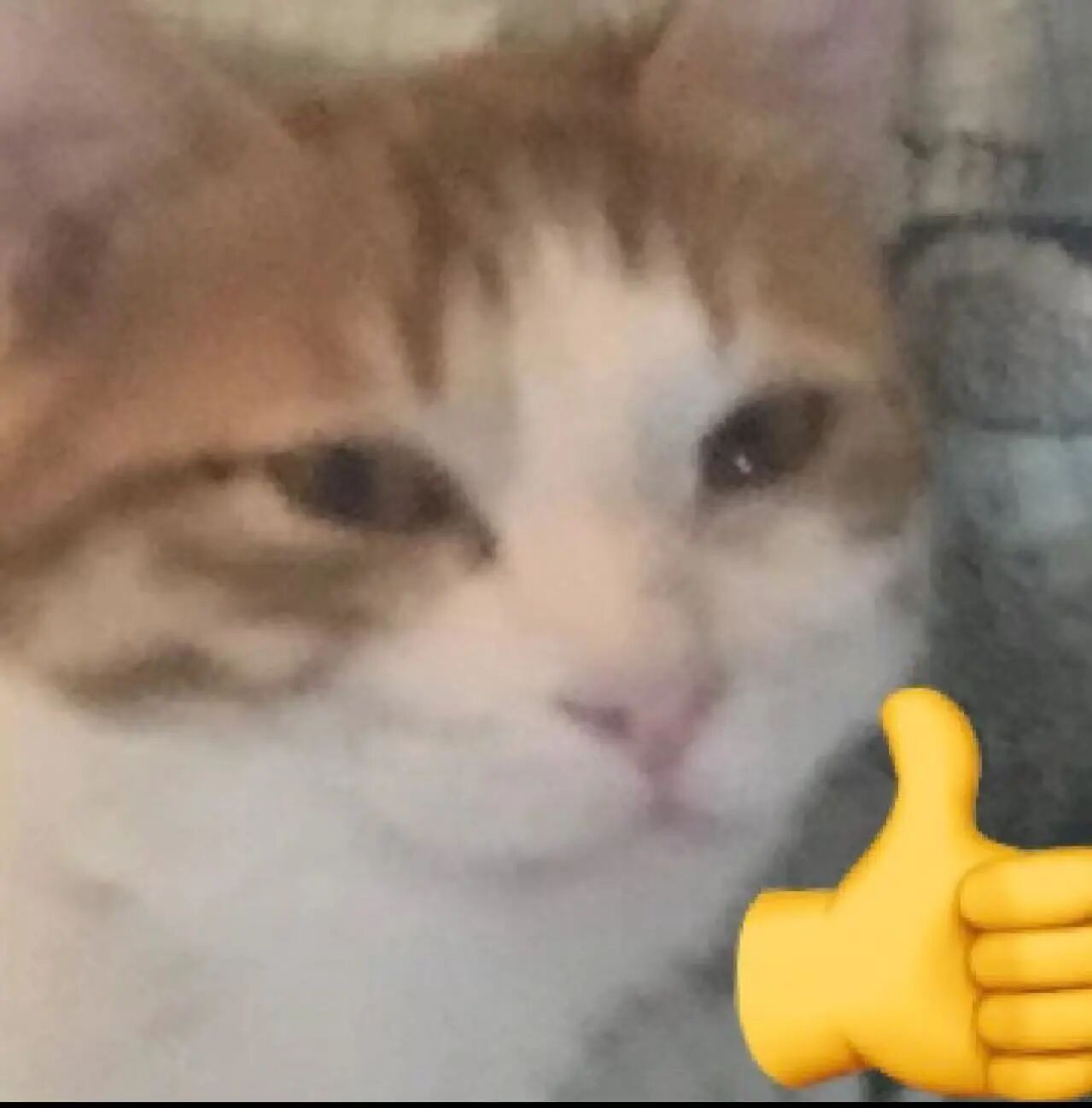 图片[8]-GLM-5.1上线，编程表现贴Opus 4.6开大，Coding plan瞬间断货-AI Express News