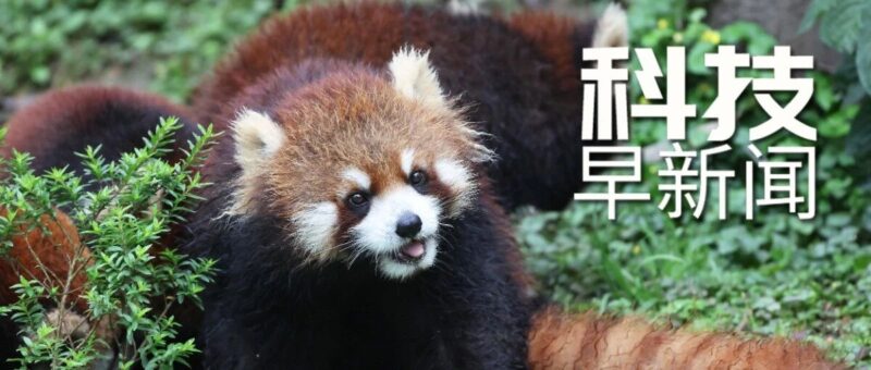 我国大语言模型“问梨”正式上线；欧航局低轨导航卫星发射成功丨科技早新闻-AI Express News