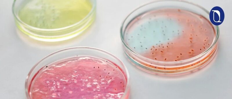 我们能在培养皿里制造出意识吗？-AI Express News