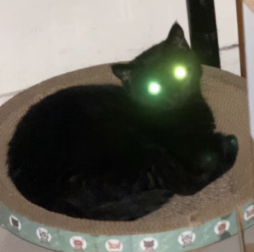 图片[1]-为了不跟龙虾抢电脑用，有人开始造Agent专属的“三无”硬件，比Mac Mini+存储便宜-AI Express News